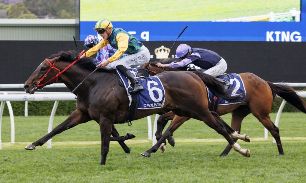 赛季中超的 赛季中超的