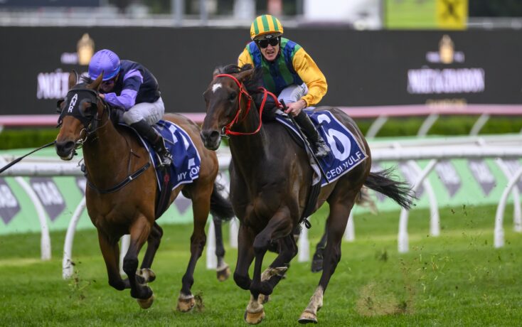 的身体条件 的身体条件