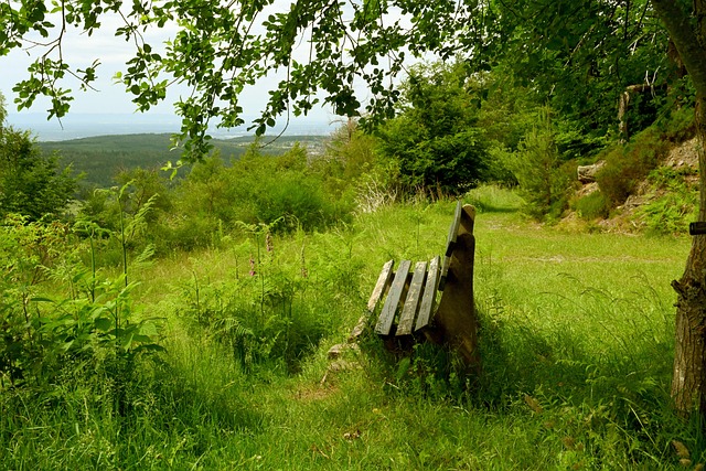 取得成功的 取得成功的